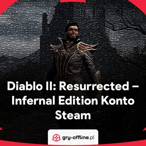 Diablo II Resurrected PC Dostęp Konto Offline Steam Infernal Edition